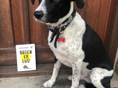 En sort og hvid hund med halsbånd og rød refleksbrik, formet som et kødben, sidder pænt ved siden af Steffen Larsens bog "Bogen er løs!".